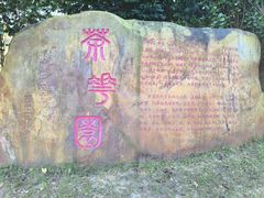 -广州市帽峰山景区