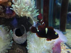 -太平洋海底世界