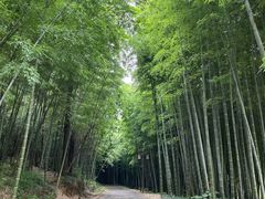 -苏州环秀晓筑养生度假村