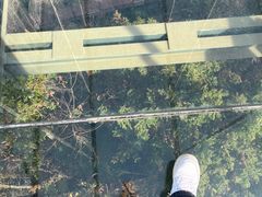 -石燕湖生态旅游景区