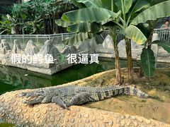 -石家庄市动物园