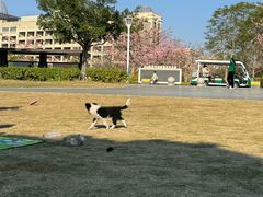 -风云岭森林公园