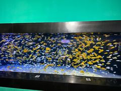 -成都浩海立方海洋公园