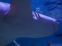 -正佳极地海洋世界