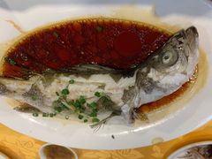 -老字号蛇口德记烧腊饭店·海鲜加工