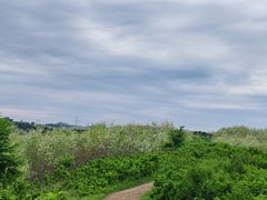 -高尔山公园