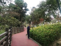 -铁山坪森林公园