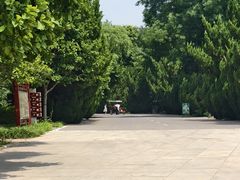 -石家庄市植物园