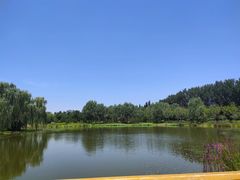 -东郊湿地公园