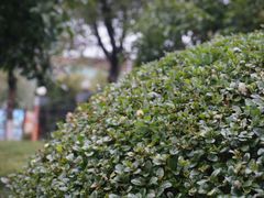 -浙江万里学院(钱湖校区)