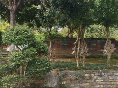 -武汉紫薇都市田园