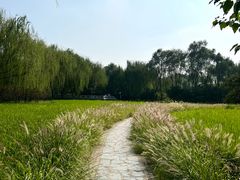 -北坞公园