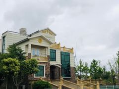 -盐城丹顶鹤湿地生态旅游区