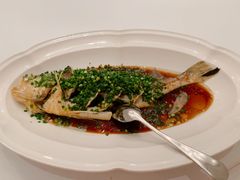 -福1015(愚园路店)