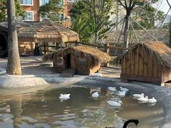 -珠海海泉湾神秘岛亲子乐园