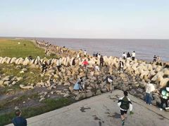 -南汇嘴观海公园