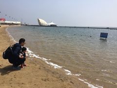 -碧海金沙