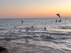 -老虎石海上公园