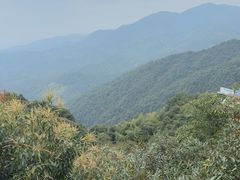 -大余丫山旅游度假区