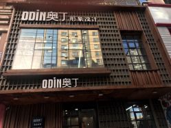-ODIN 奥丁形象设计 