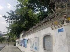 -神仙树公园