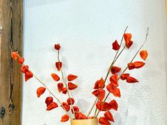 -常识咖啡common sense(春熙路店)