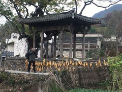-塔川景区