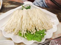 新鲜金针菇-重庆秦妈火锅(扶绥空港店)