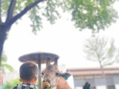 -灵玲国际马戏城