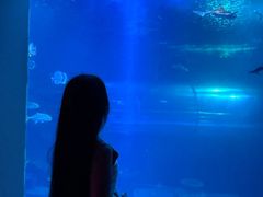 -太平洋海底世界