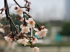 -白塘生态植物园