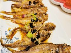 -稻香酒家·33年老字号·港式粤菜(富邦中心店)