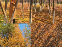 -艾溪湖湿地公园