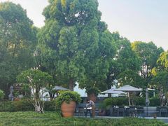 -养云安缦吧THE BAR