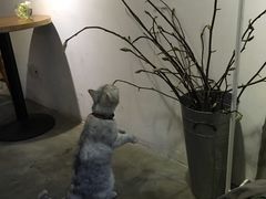 -研途咖啡馆(健康路店)