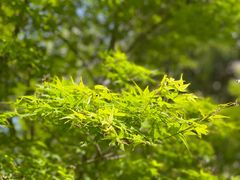 -仁恒西郊花园