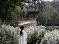 -中国茶叶博物馆(双峰馆区)