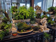 -川旺角川粤融合菜•海景餐厅(星海广场店)
