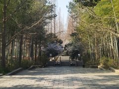 -宝岩生态观光园