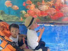 -泉州海丝野生动物世界