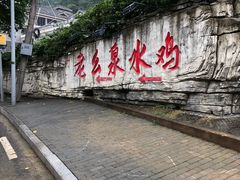 -老幺泉水鸡