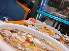 清蒸千岛湖白条-香浙汇(望京店)