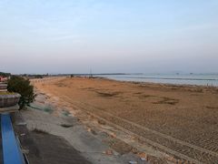 -合肥滨湖国家森林公园