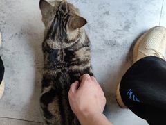 -诺比宠物医院心脏内科·泌尿肾内外科·骨科急重症