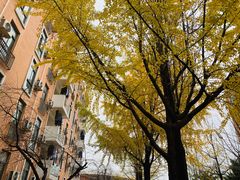 -西南民族大学南区(双流校区)