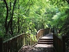 -马岭河峡谷风景区