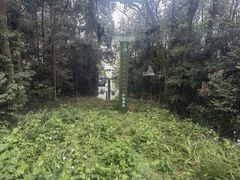 -缙云山景区