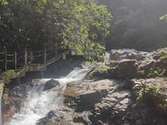 -九龙江国家森林公园