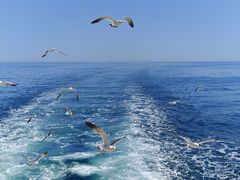 -海驴岛(荣成市)