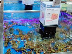 -盒马鲜生(龙德广场店)